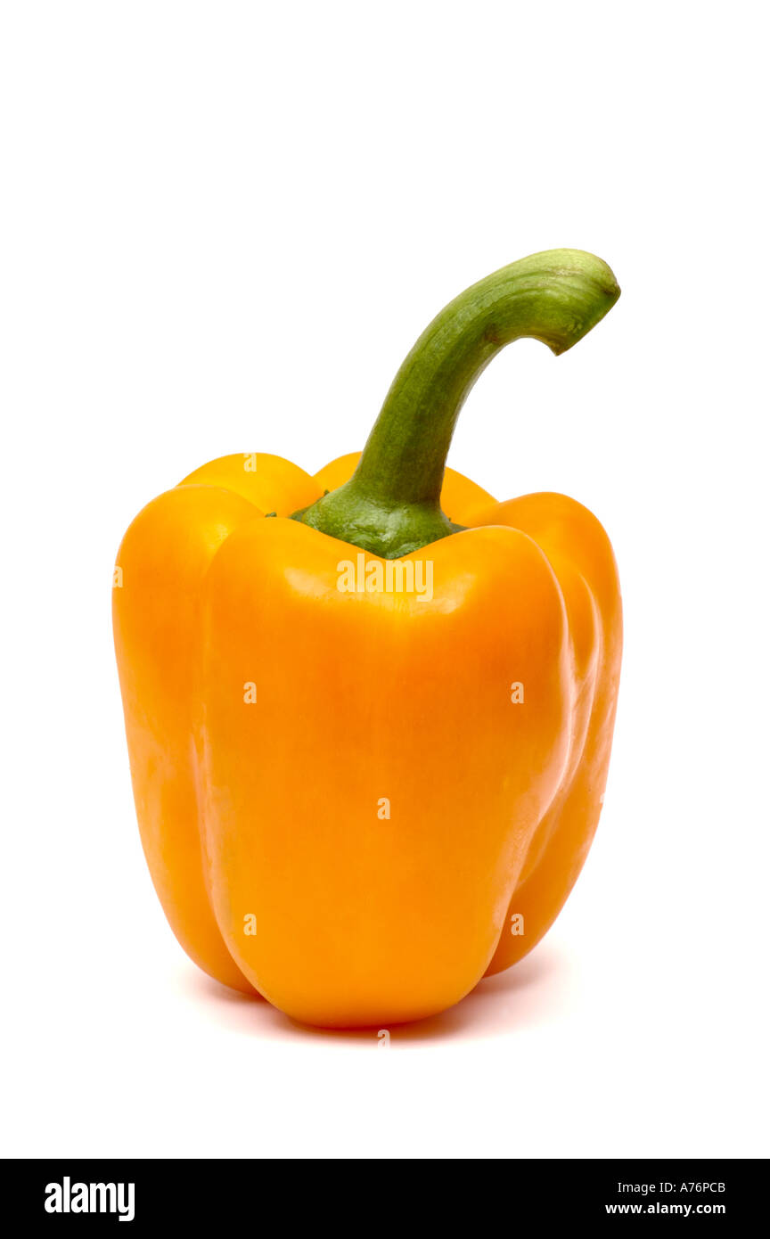Arancio pepe peperoncino capsicum su sfondo bianco Foto Stock