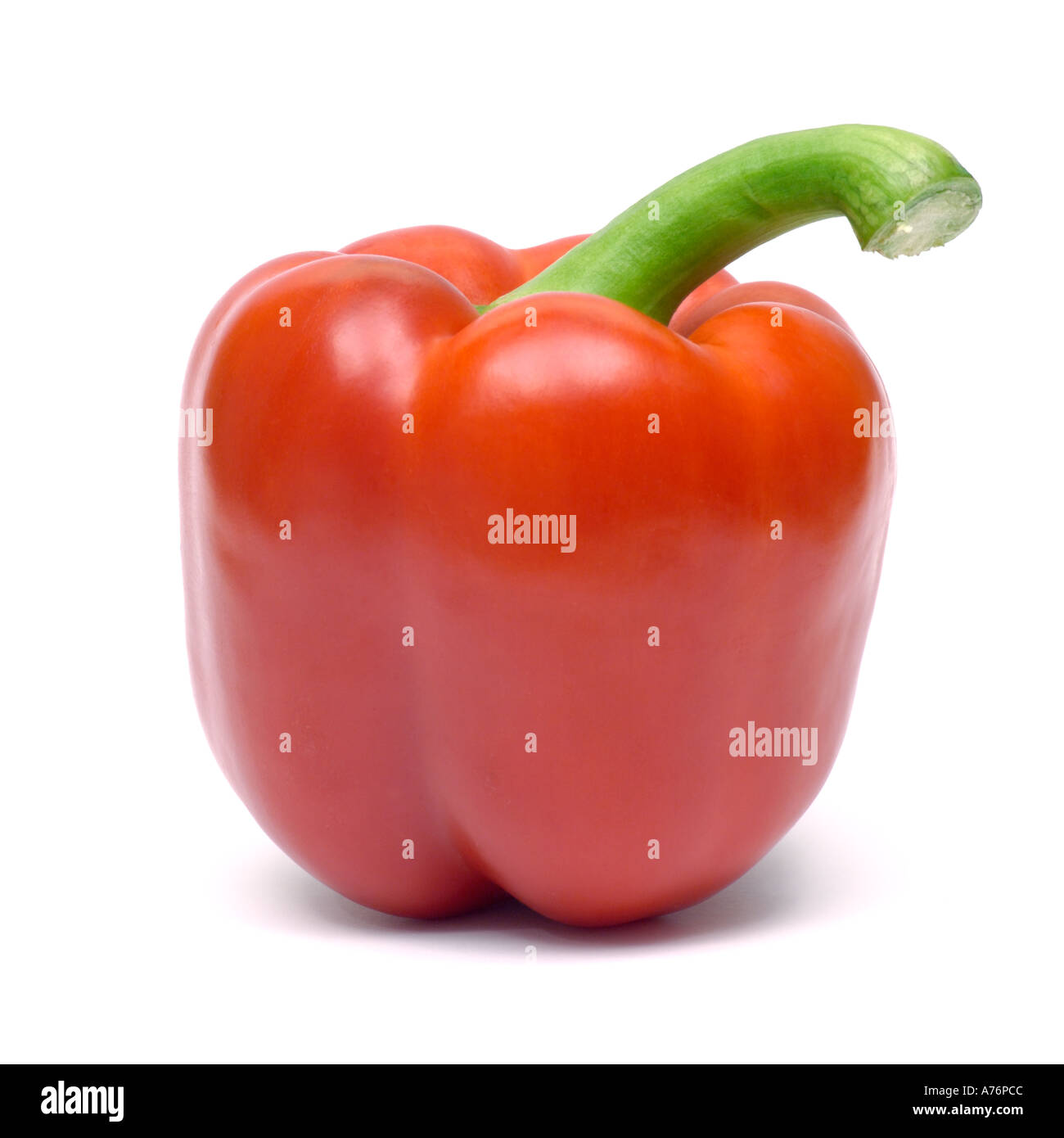 Peperone rosso peperoncino capsicum su sfondo bianco Foto Stock
