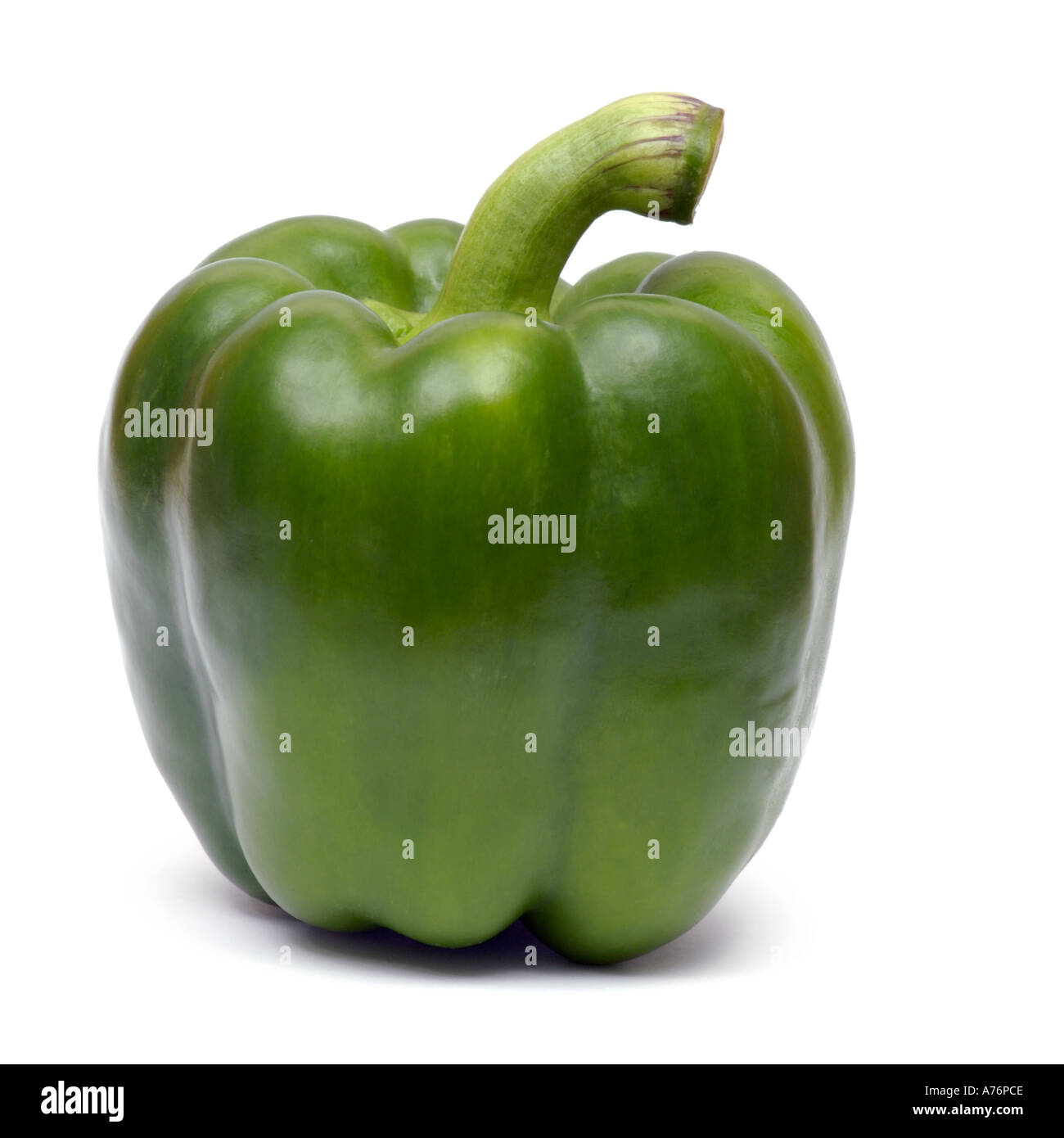 Peperone verde peperoncino capsicum su sfondo bianco Foto Stock