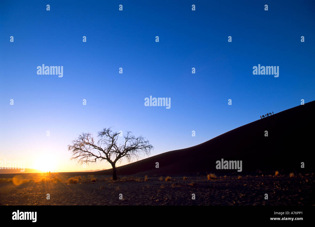 I turisti sopraffatte da Dune 45 in Namibia come essi salire nelle prime ore del mattino. Foto Stock