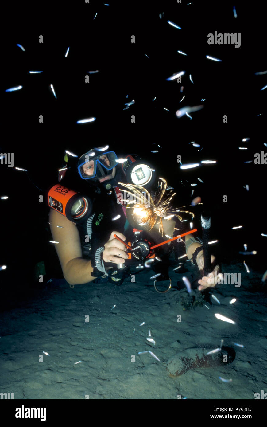 Un fotografo subacqueo al lavoro tenendo riprese macro di un pesce leone (pterois volitans) a notte. Foto Stock