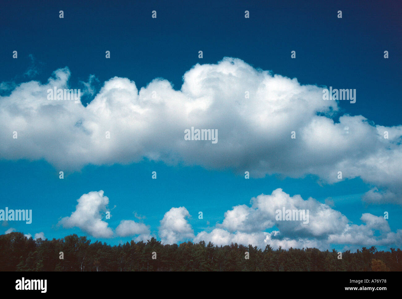 Cumulus e Cirrus nuvole nel cielo spazzate dal vento su orizzonte forestale Foto Stock