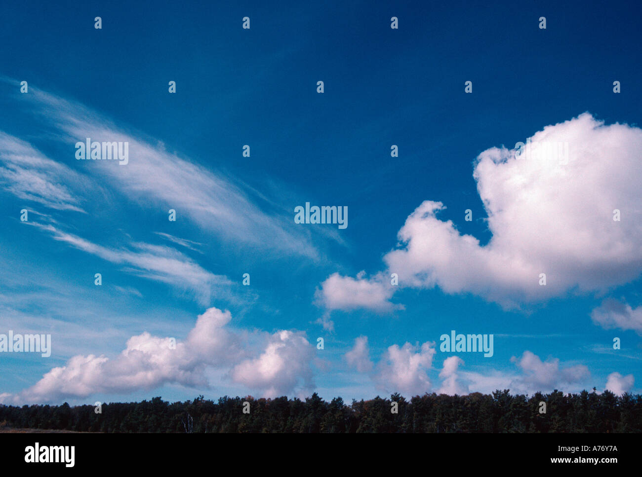 Cumulus e Cirrus nuvole nel cielo spazzate dal vento su orizzonte forestale Foto Stock