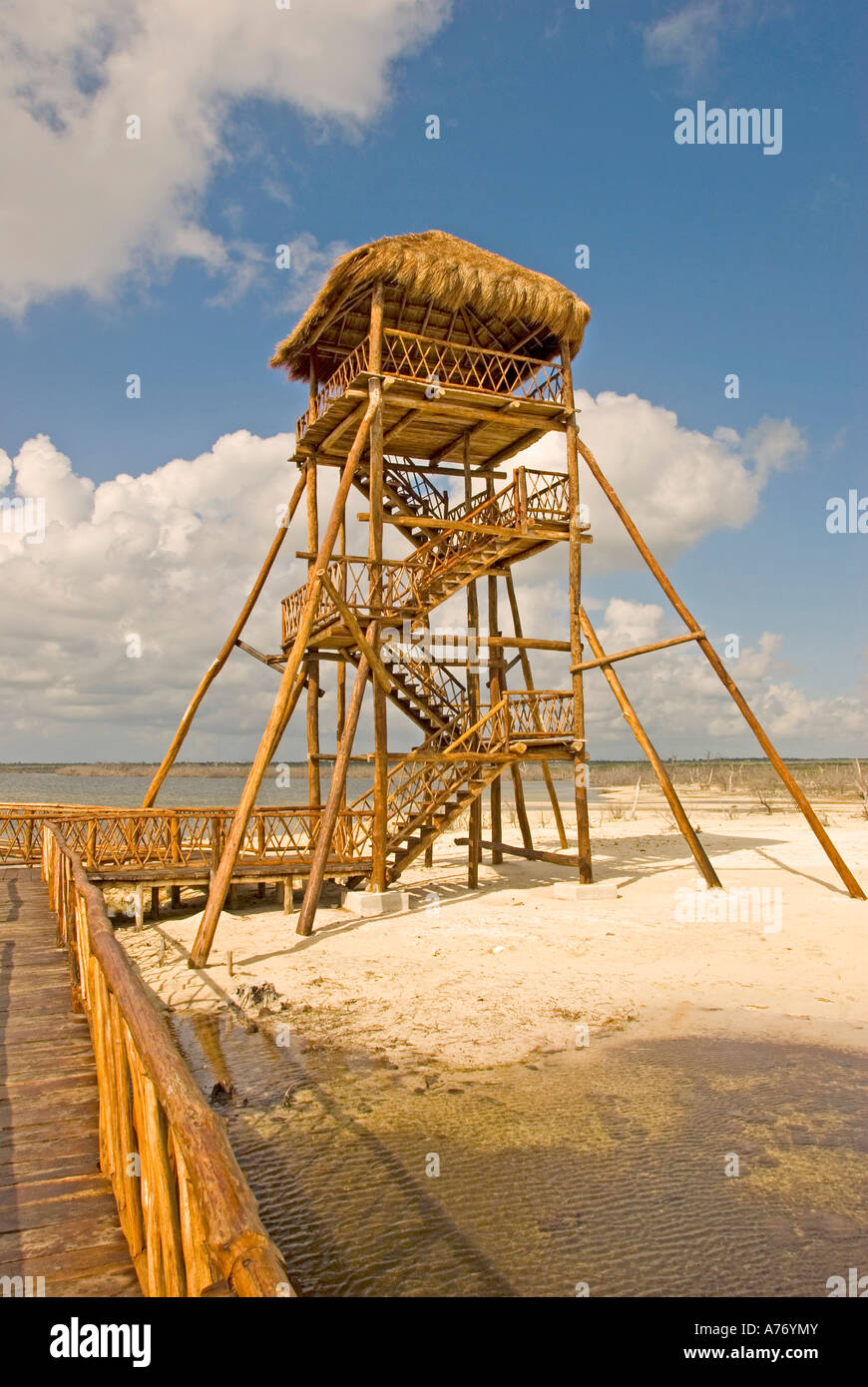 Cozumel Messico Punta Sur Parco Riserva Ecologica boardwalk per vedere coccodrilli Foto Stock