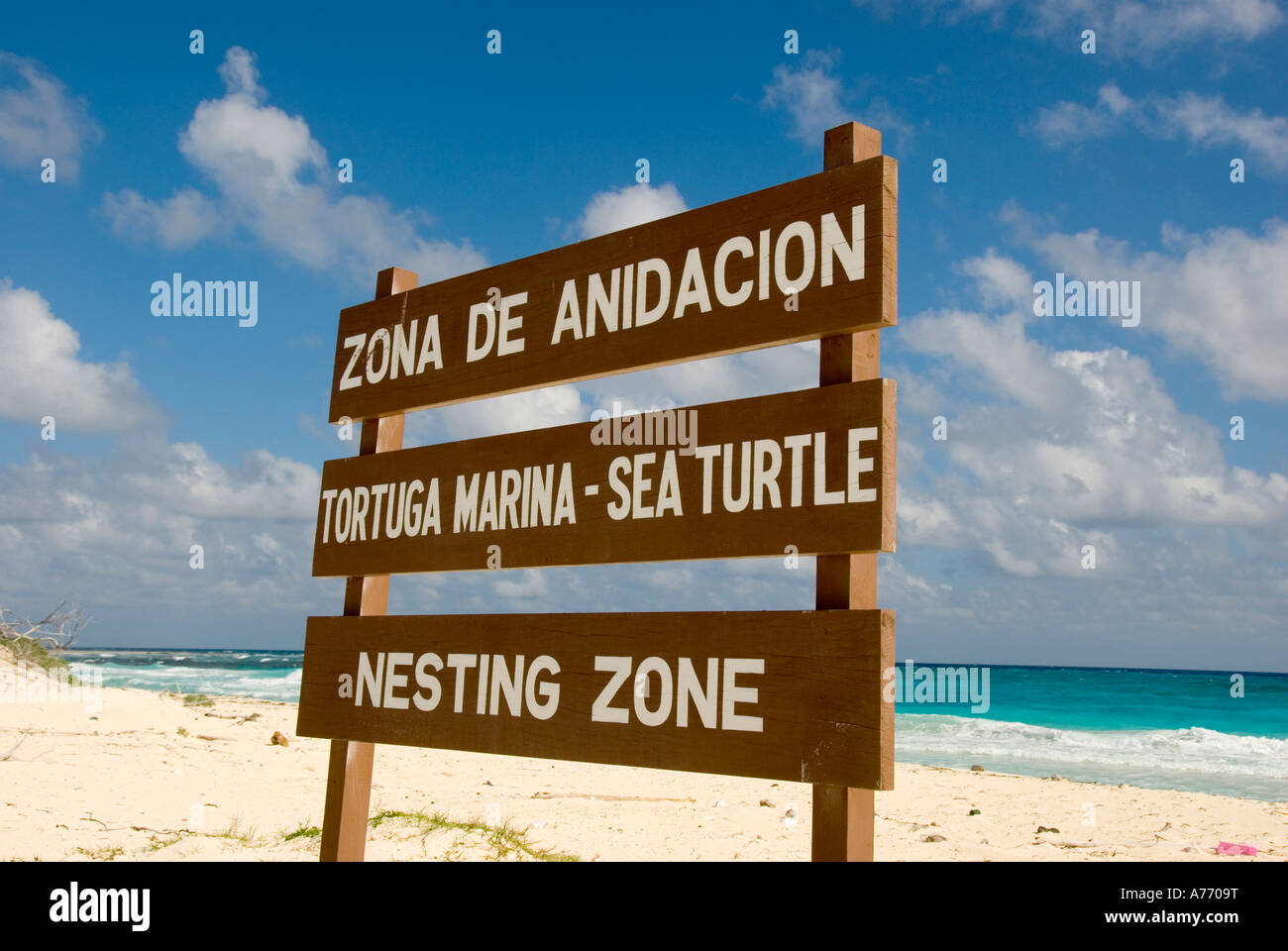 Messico Cozumel Punta Sur parque parco ecologico segno riserva Sea Turtle Beach zona di nidificazione blu acqua verde riviera maya maya Foto Stock