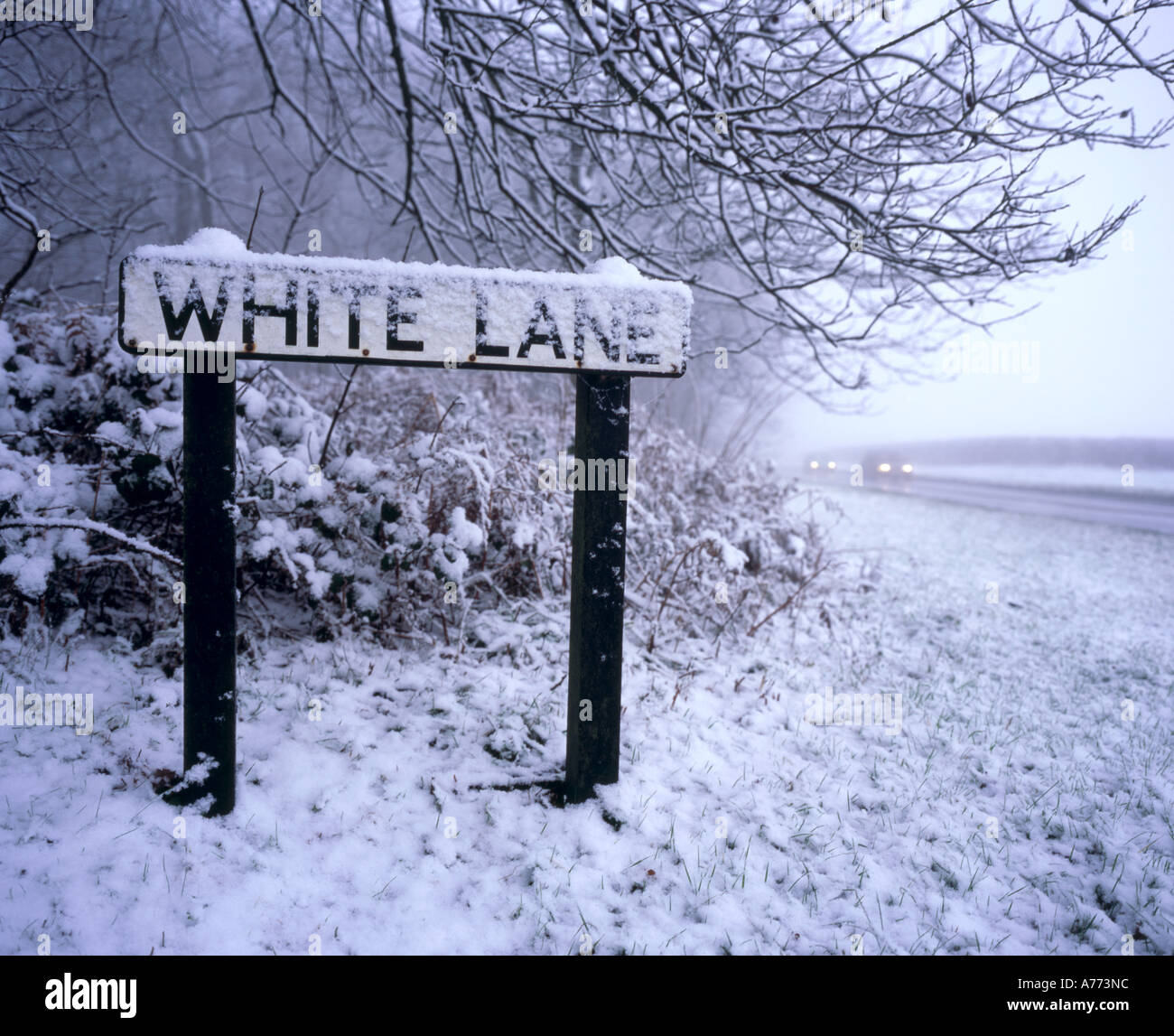 Cartello stradale vicolo bianco dopo una caduta di neve, con passaggio di vetture. Kent, England, Regno Unito Foto Stock