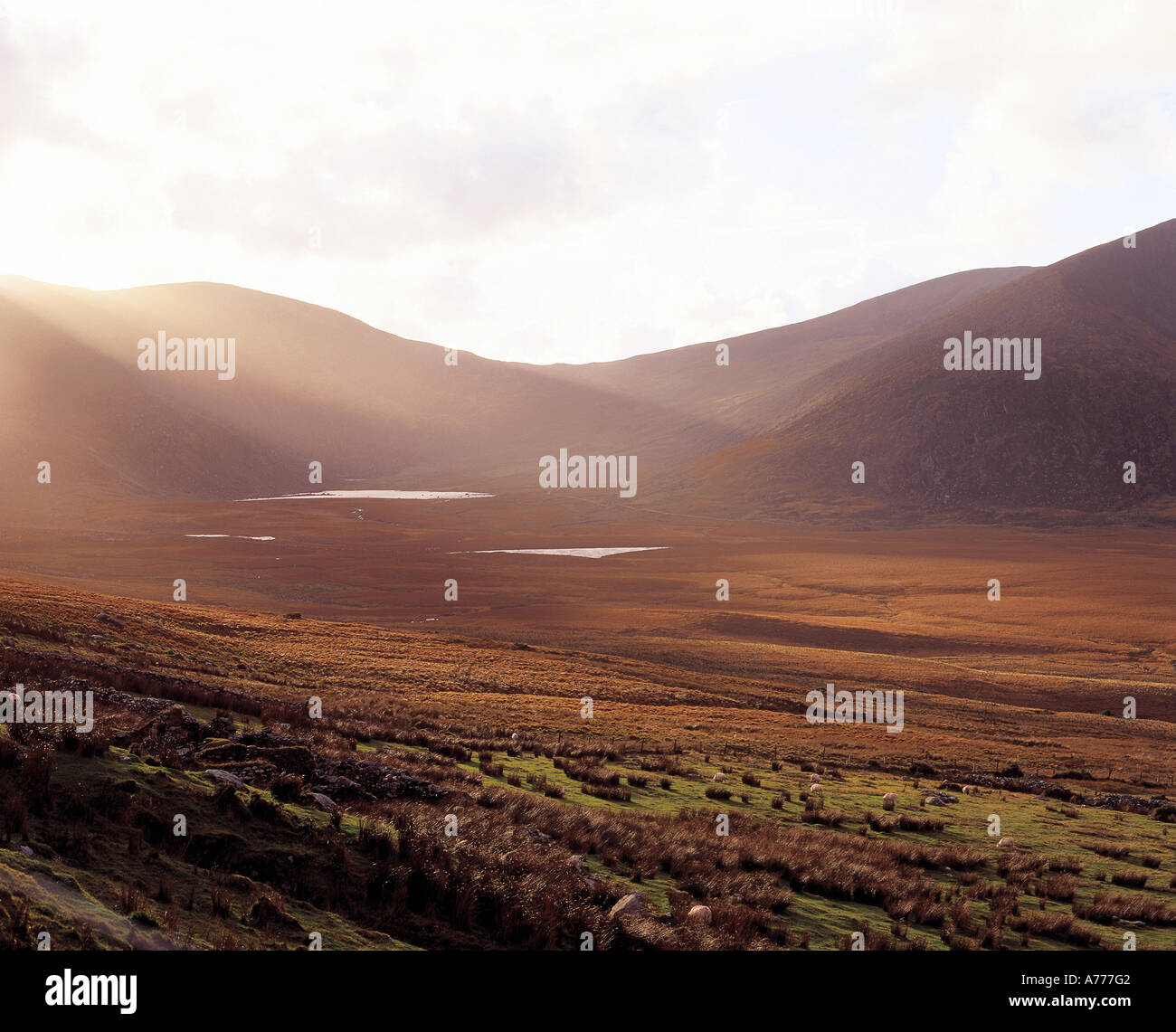 L'Irlanda, nella contea di Kerry, la penisola di Dingle, Conor Pass, owenmore valley, wild atlantic modo, la bellezza della natura, Foto Stock