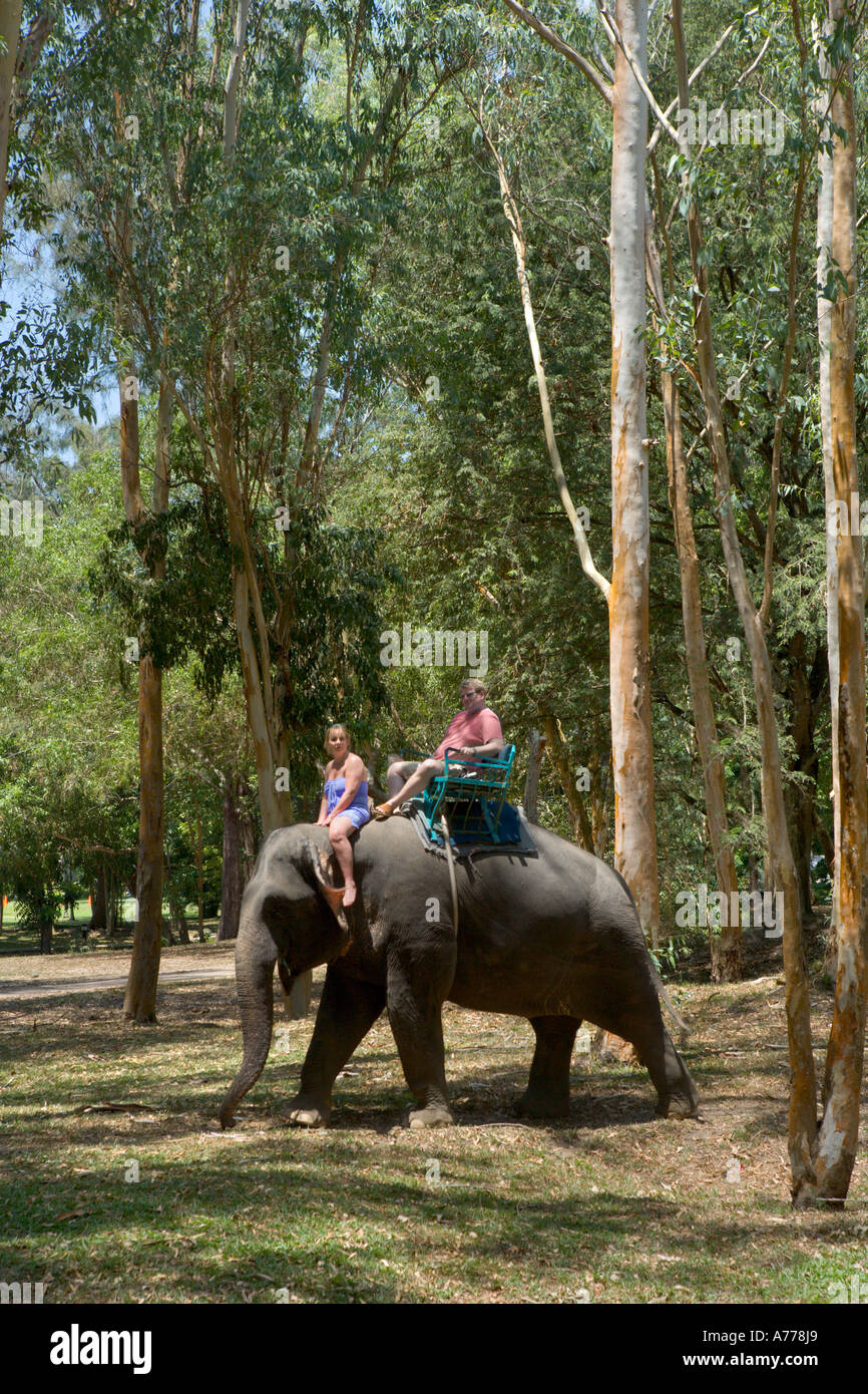 Corse di elefanti, Bang Tao Beach, Phuket Thailandia Foto Stock