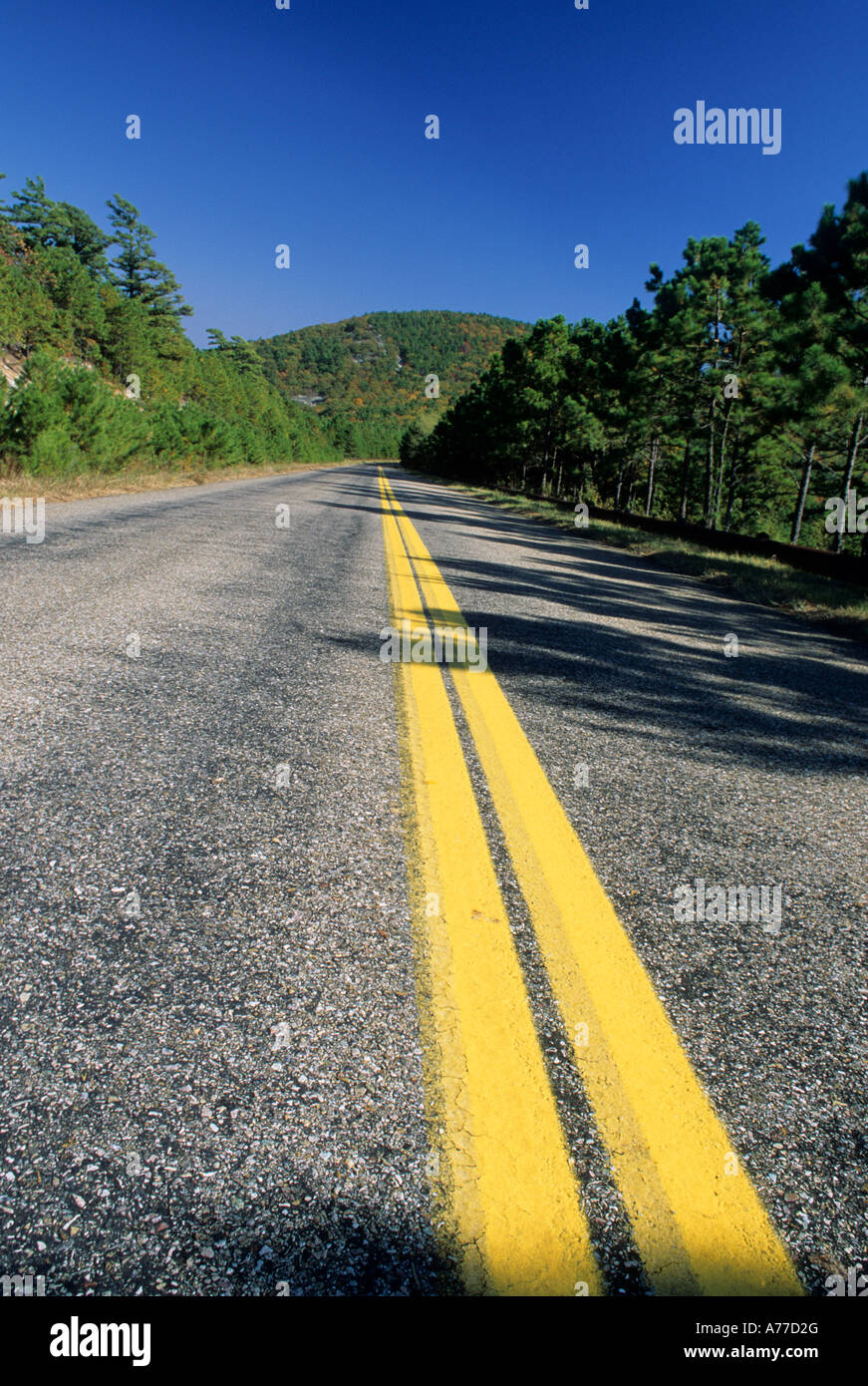 TALIMENA SCENIC DRIVE, OUACHITA National Forest, Oklahoma. Caduta. Foto Stock