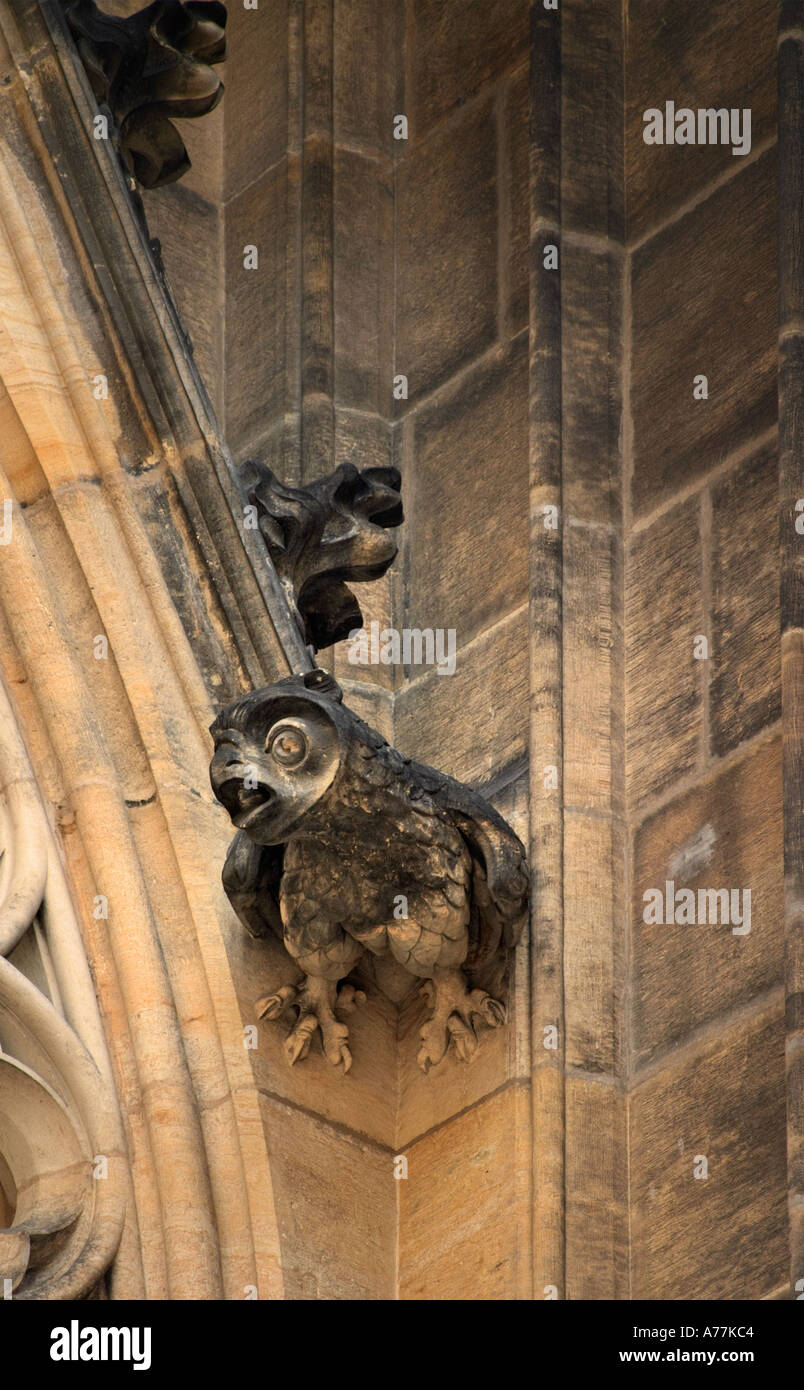 Bird Gargoyle sulla parete della Cattedrale di San Vito a Praga Repubblica Ceca Foto Stock