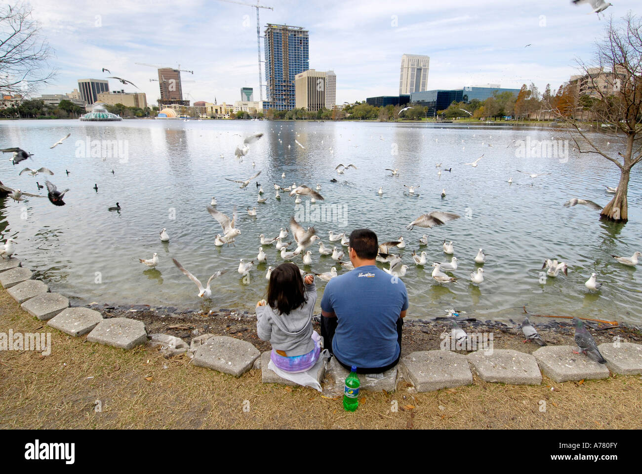 Alimentazione di uccelli a Eola Park Downtown Orlando Florida US Foto Stock