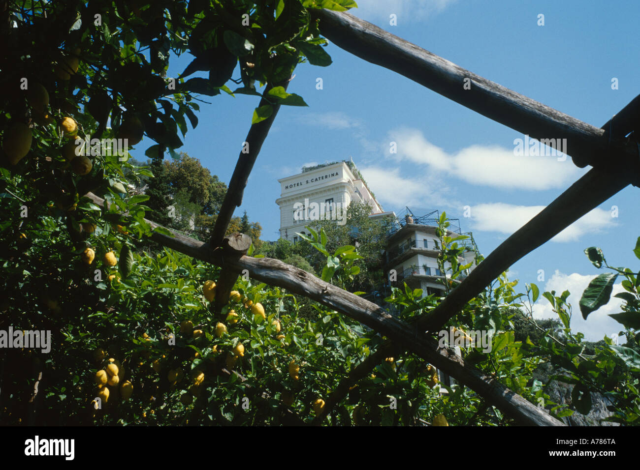 Costiera Amalfitana Hotel Santa Caterina da i terrazzamenti di limoni, Foto Stock