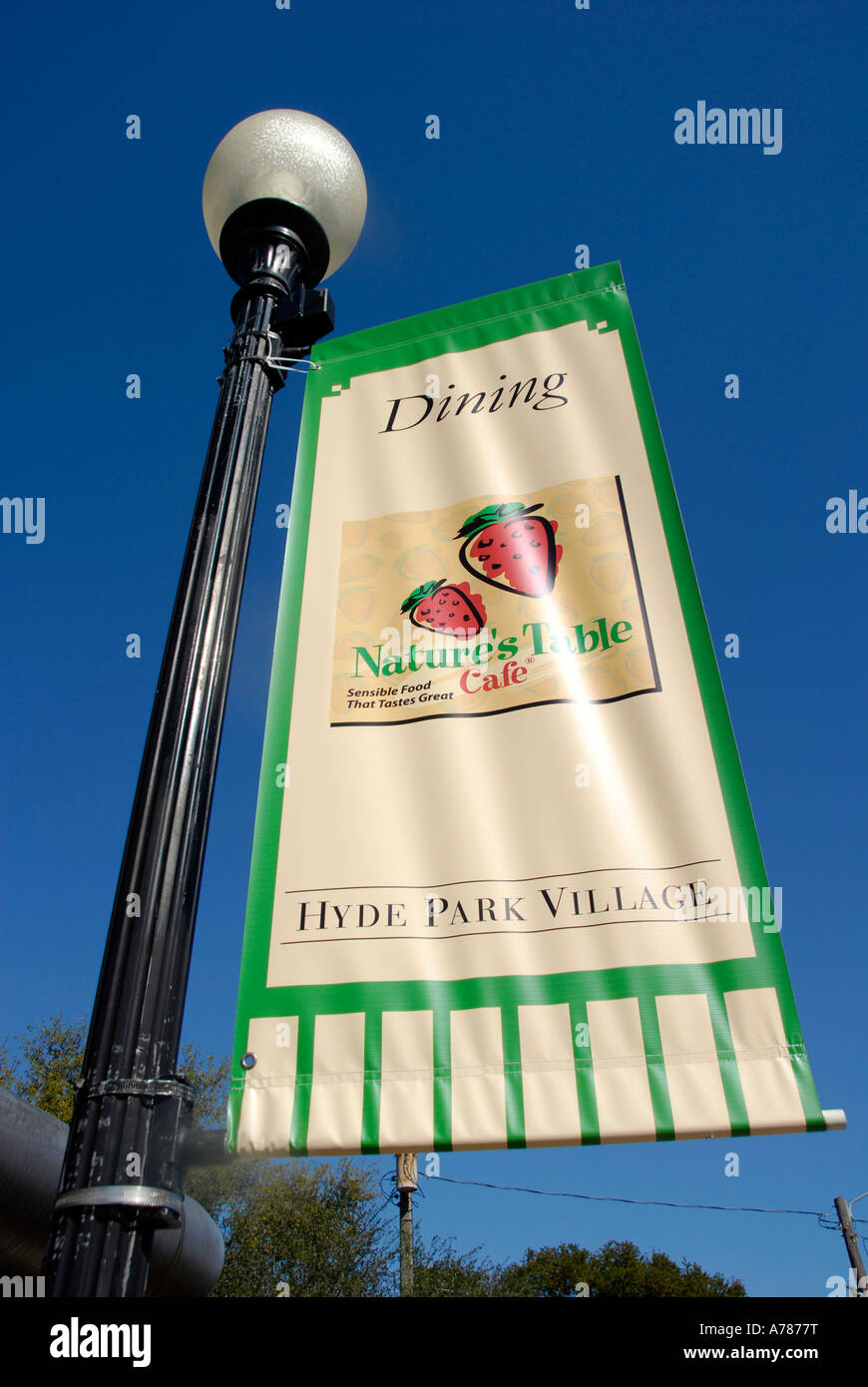 S Dakota e Cerchio di villaggio in Hyde Park è un pittoresco esclusivo quartiere dello shopping della città di Tampa Florida FL Foto Stock