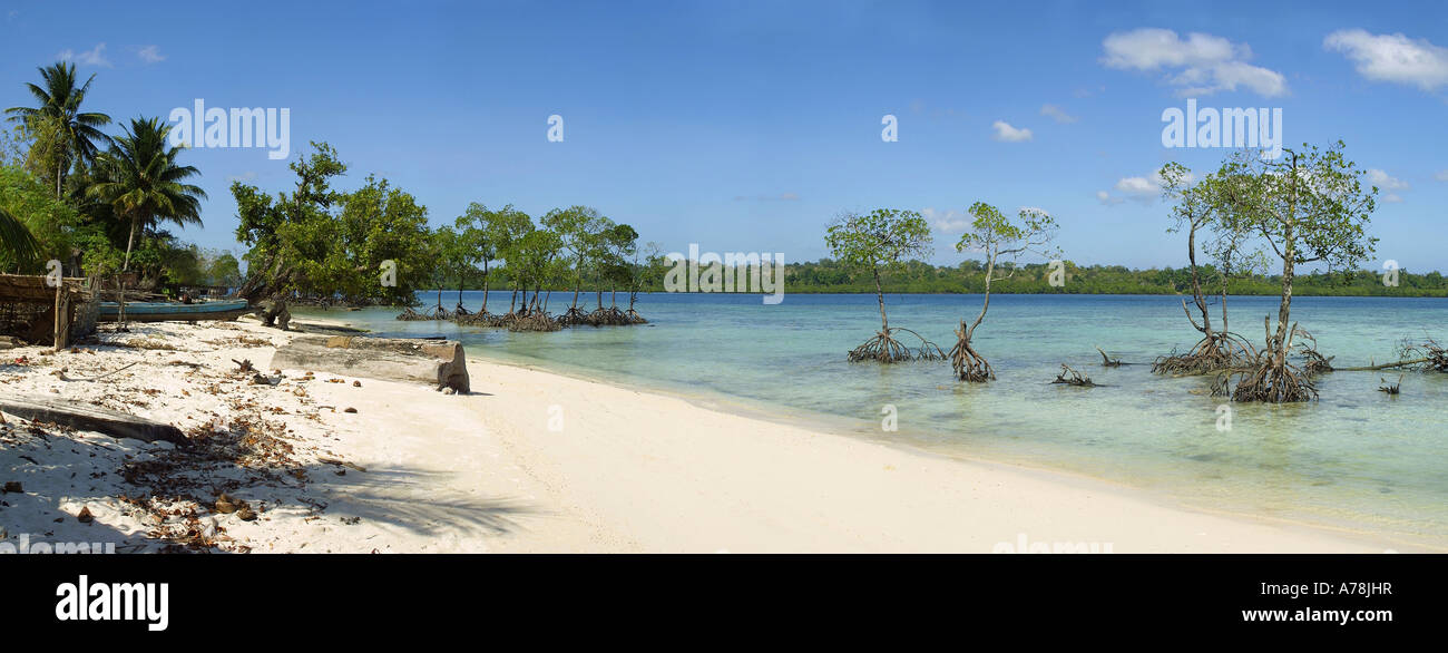 India Isole Andaman Havelock Govindnagar spiaggia del villaggio di mangrovie panoramic Foto Stock
