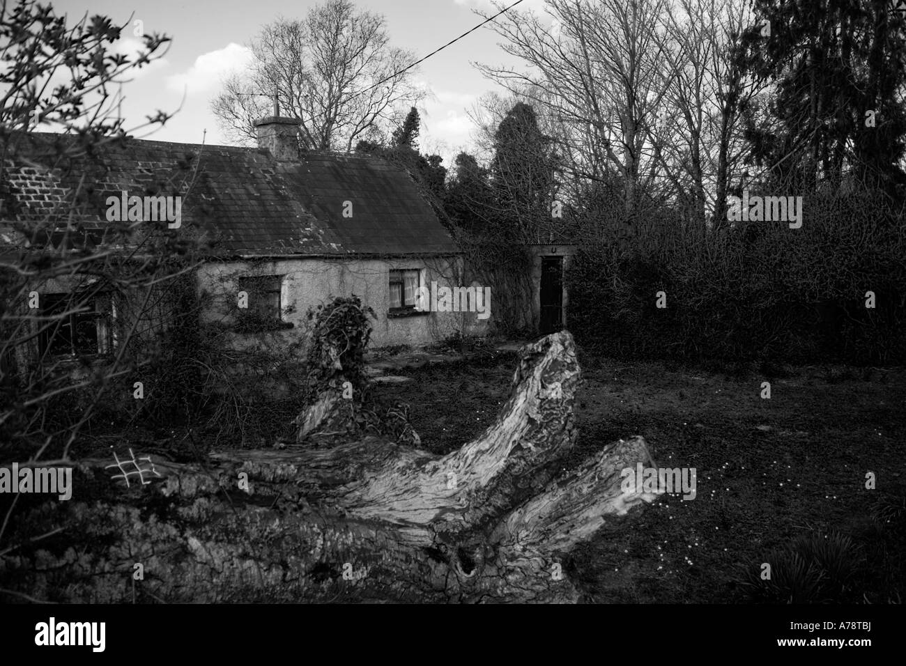 Vecchia casa abbandonati con la caduta di alberi in bianco e nero Foto Stock
