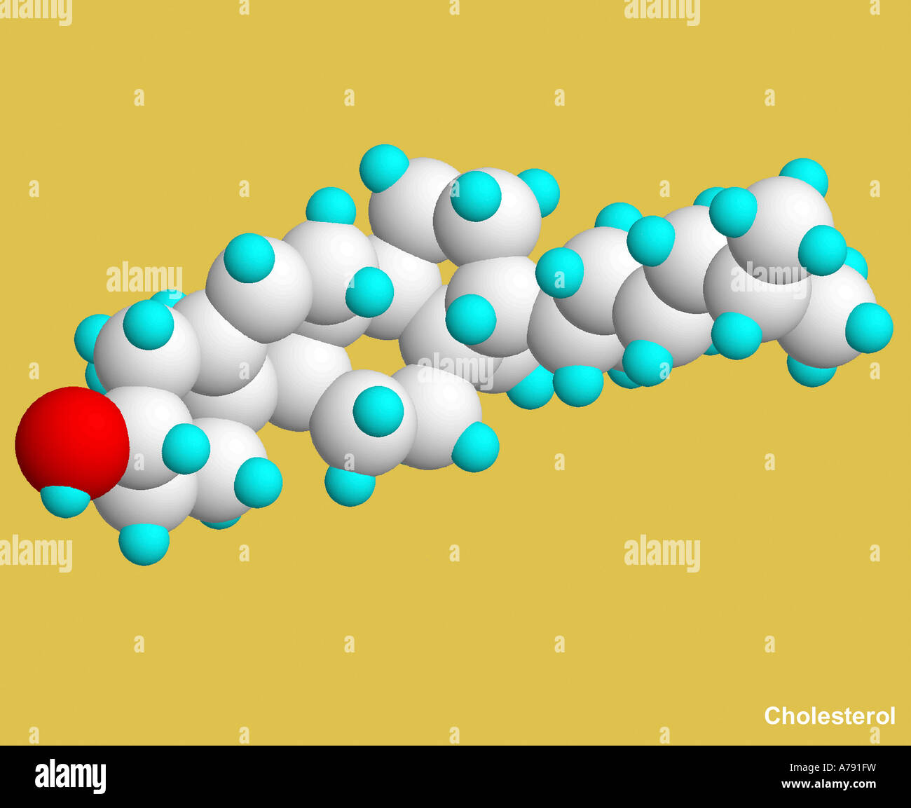 Il modello molecolare - colesterolo Foto Stock