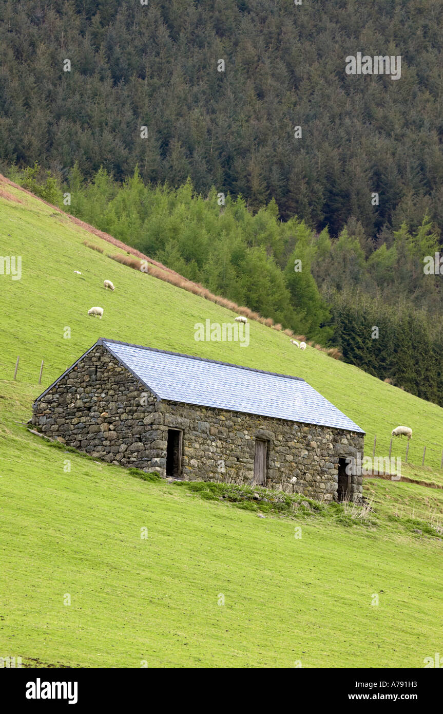 Il vecchio fienile in welsh hillside Foto Stock