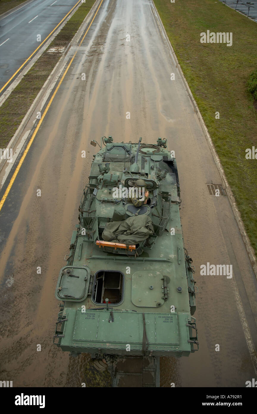 LAV corazzato Trasporto di personale, forze armate canadesi Foto Stock