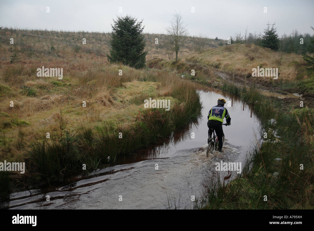 Mountain Biker cavalcando attraverso la torbiera in Galles Centrale. Foto Stock