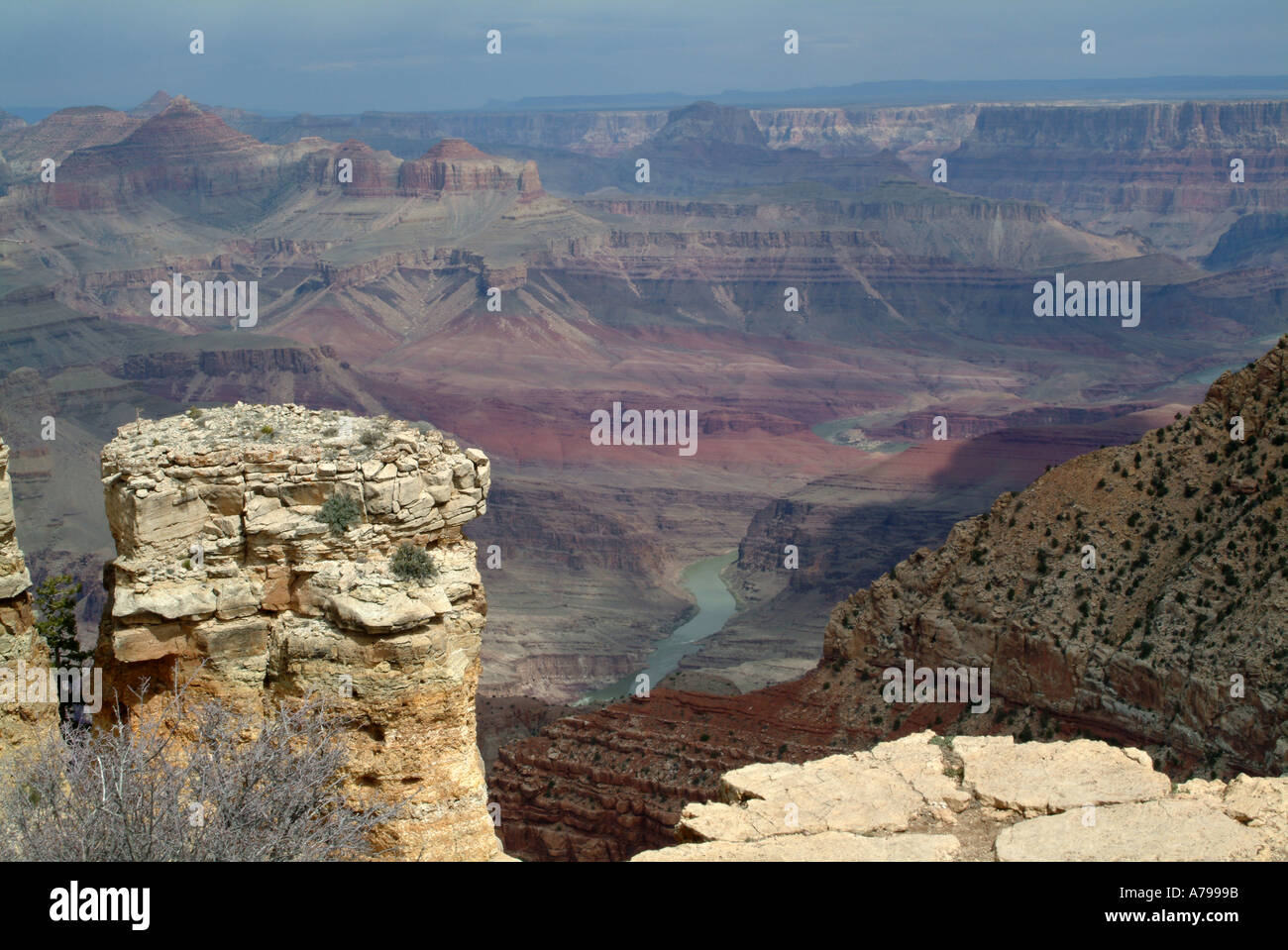 Vista del Grand Canyon e il Fiume Colorado dal punto di Moran Foto Stock