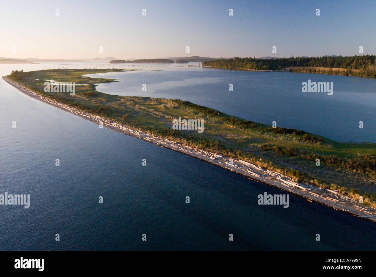 Fotografia aerea di Sidney sputare sul isola di Sidney nel Gulf Islands National Park riserva vicino Sidney della Columbia britannica in Canada Foto Stock