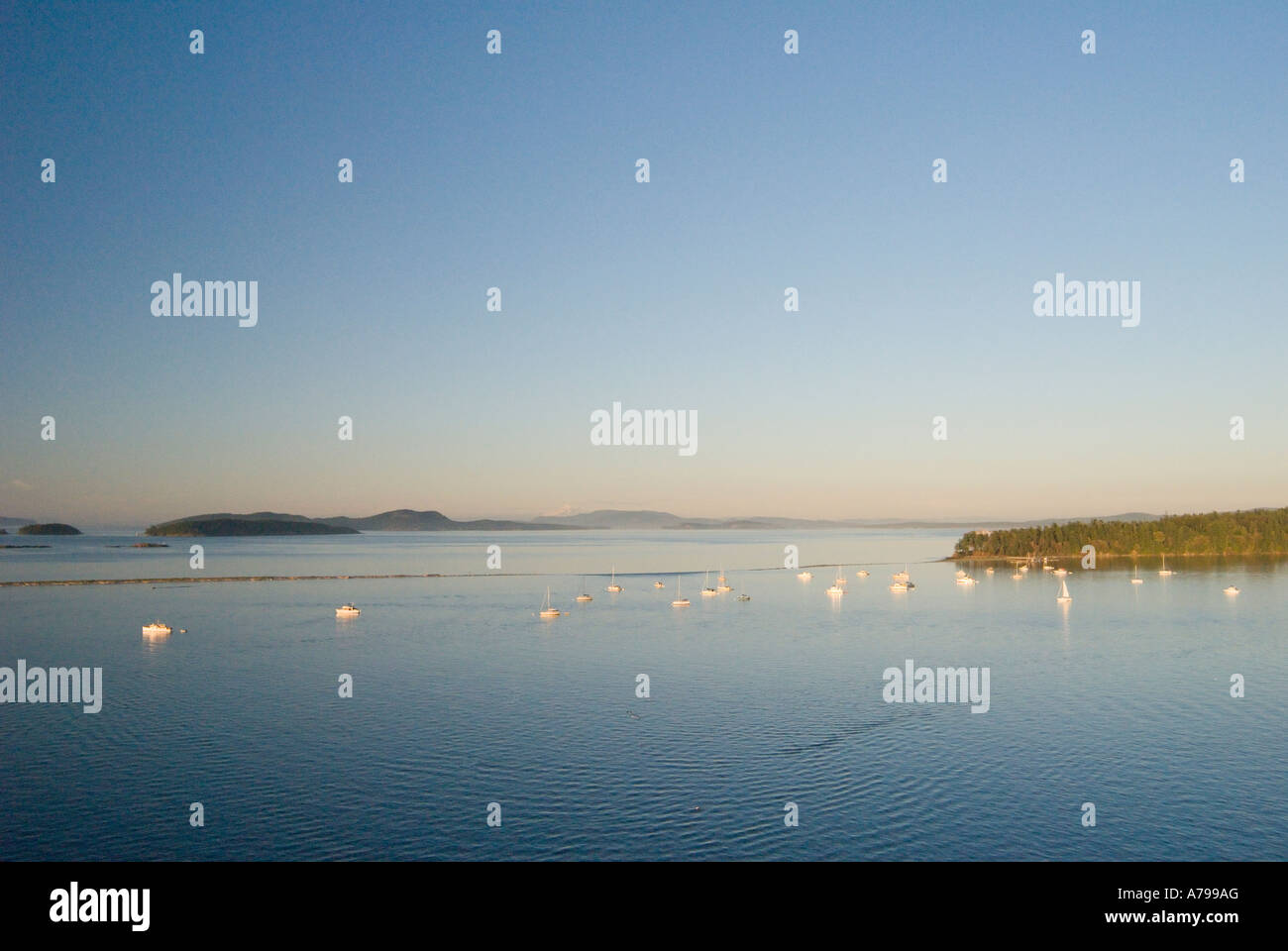 Fotografia aerea di Sidney sputare sul isola di Sidney nel Gulf Islands National Park riserva vicino Sidney della Columbia britannica in Canada Foto Stock