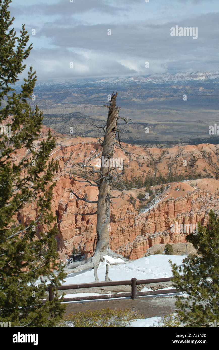 Vista di Bryce Canyon dello Utah dal punto di Bryce Foto Stock