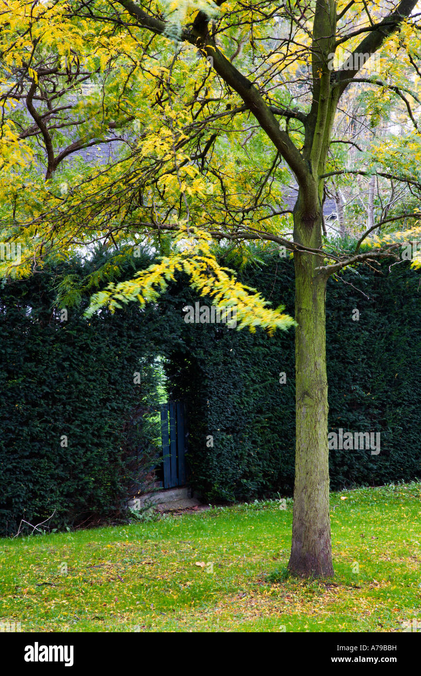I colori autunnali a Bruges vicino a Dampoort Belgio Foto Stock