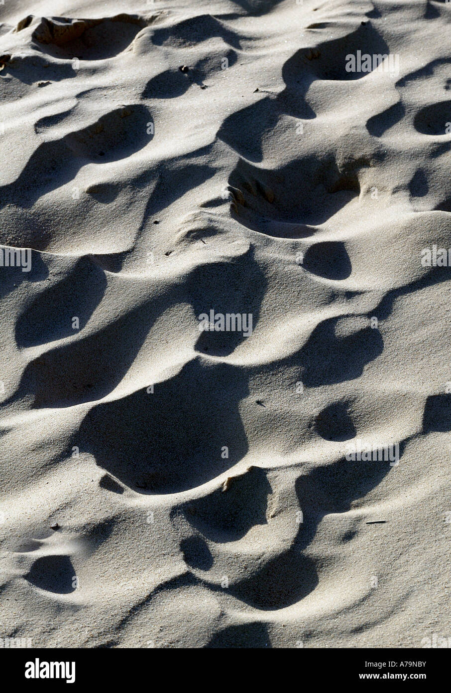 Footprint ed altre forme in sabbia Foto Stock