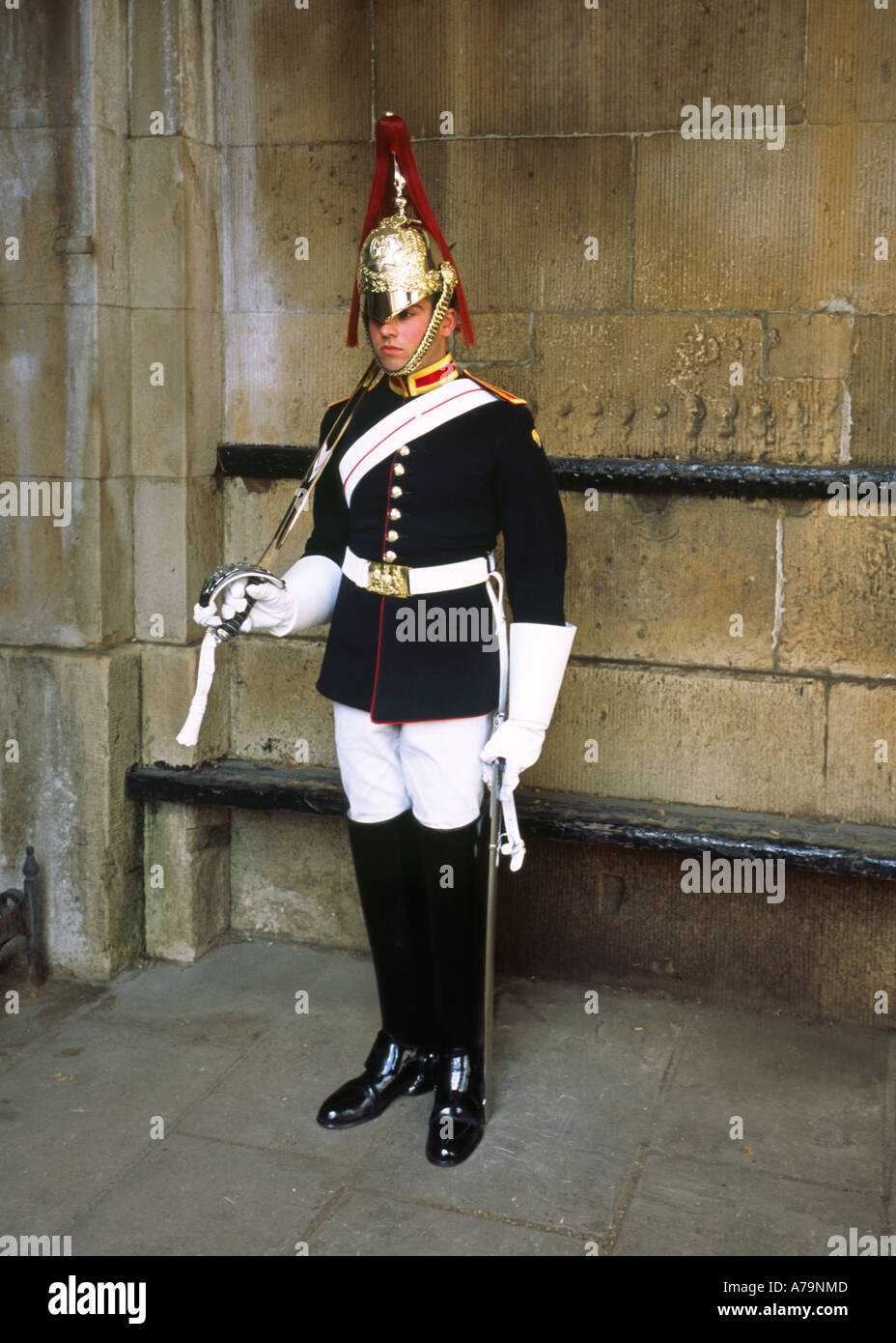 Domestico soldato di cavalleria in guardia in Horseguards Parade Westminster Londra Inghilterra REGNO UNITO Foto Stock