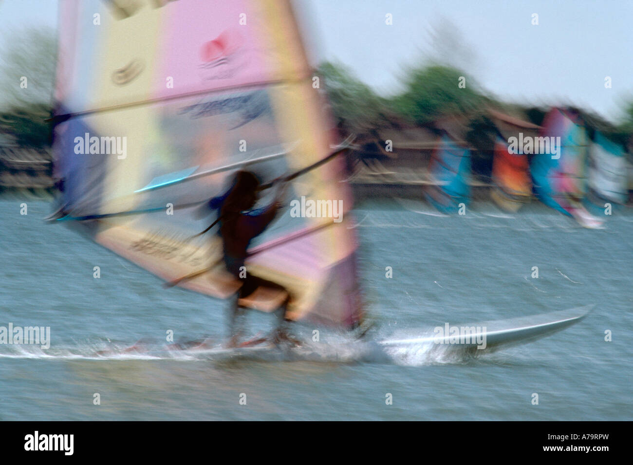 Windsurf a un concorso nella baia vicino a St Augustine, Florida USA Foto Stock