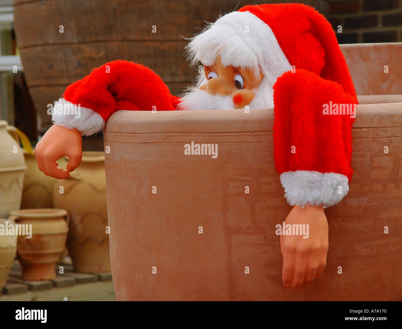 Babbo Natale in vaso da giardino Foto Stock