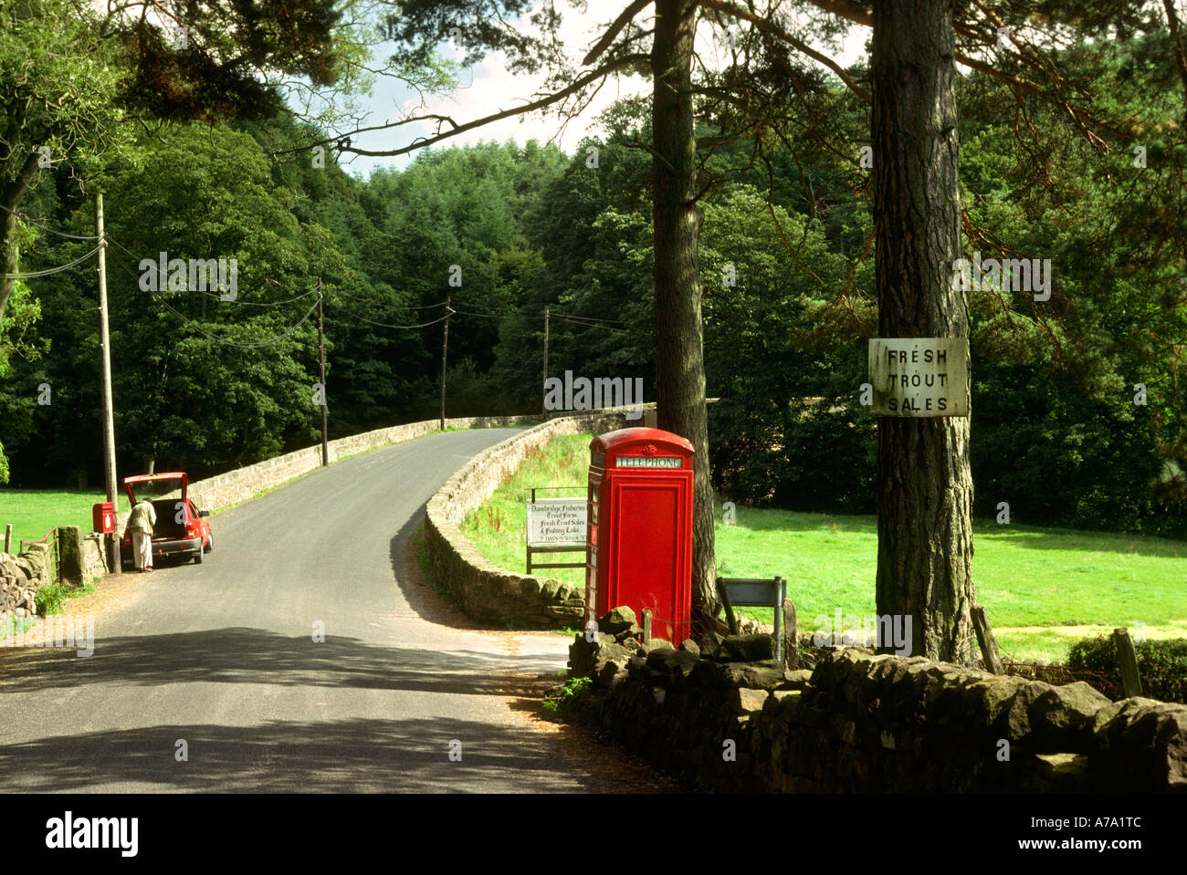 Regno Unito Inghilterra Derbyshire Wincle ponte sul fiume Dane Foto Stock