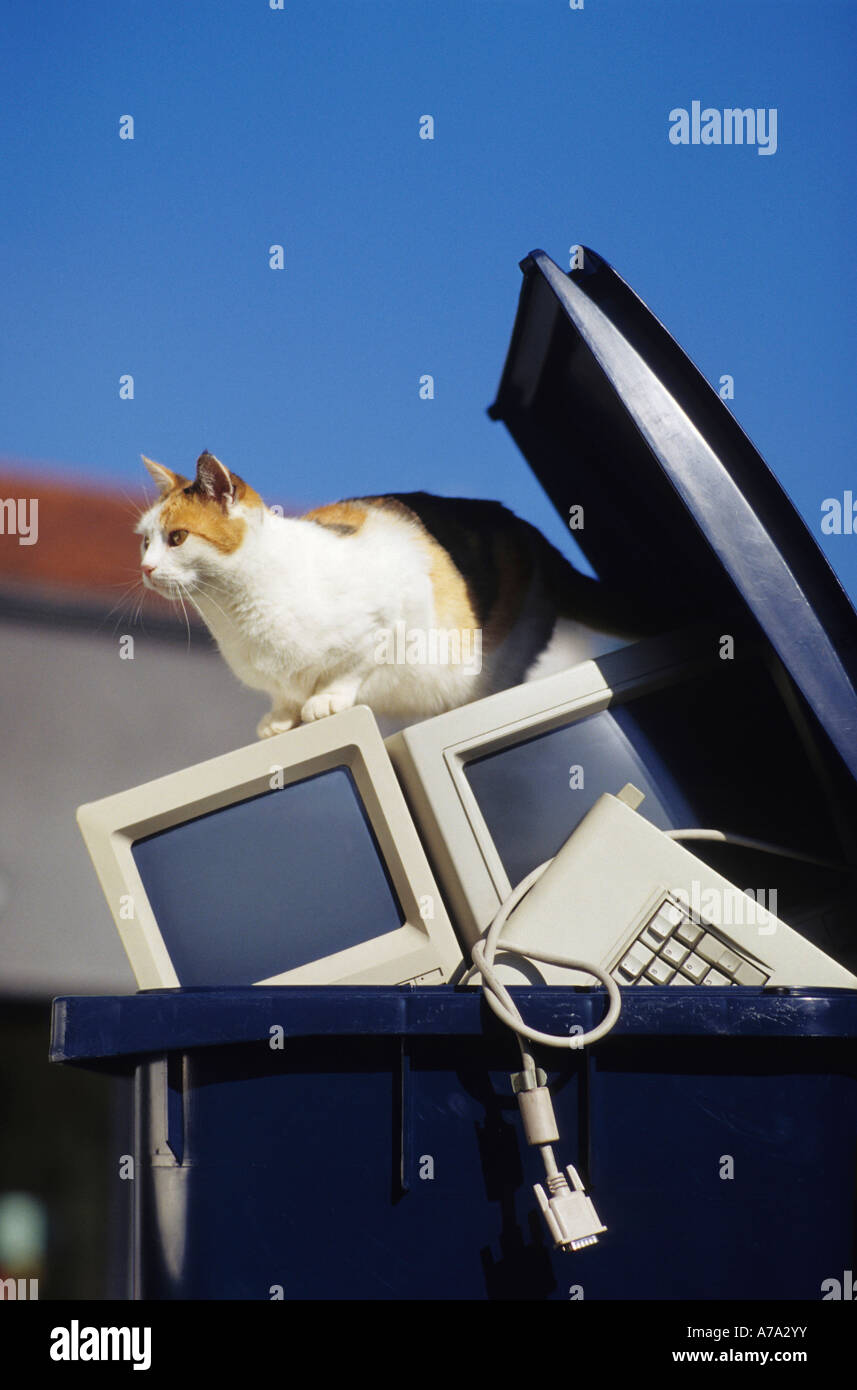 Schermo e tastiera del computer gettati nel cestino. Foto Stock