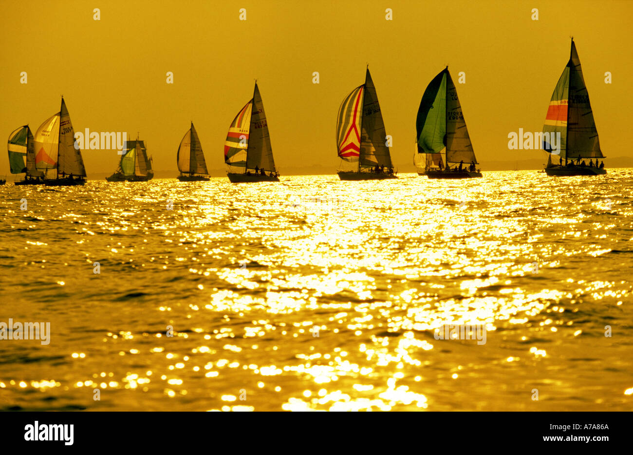 La gara di Fastnet Spinnaker corrono verso gli aghi Solent Cowes Week Isola di Wight in Inghilterra Foto Stock