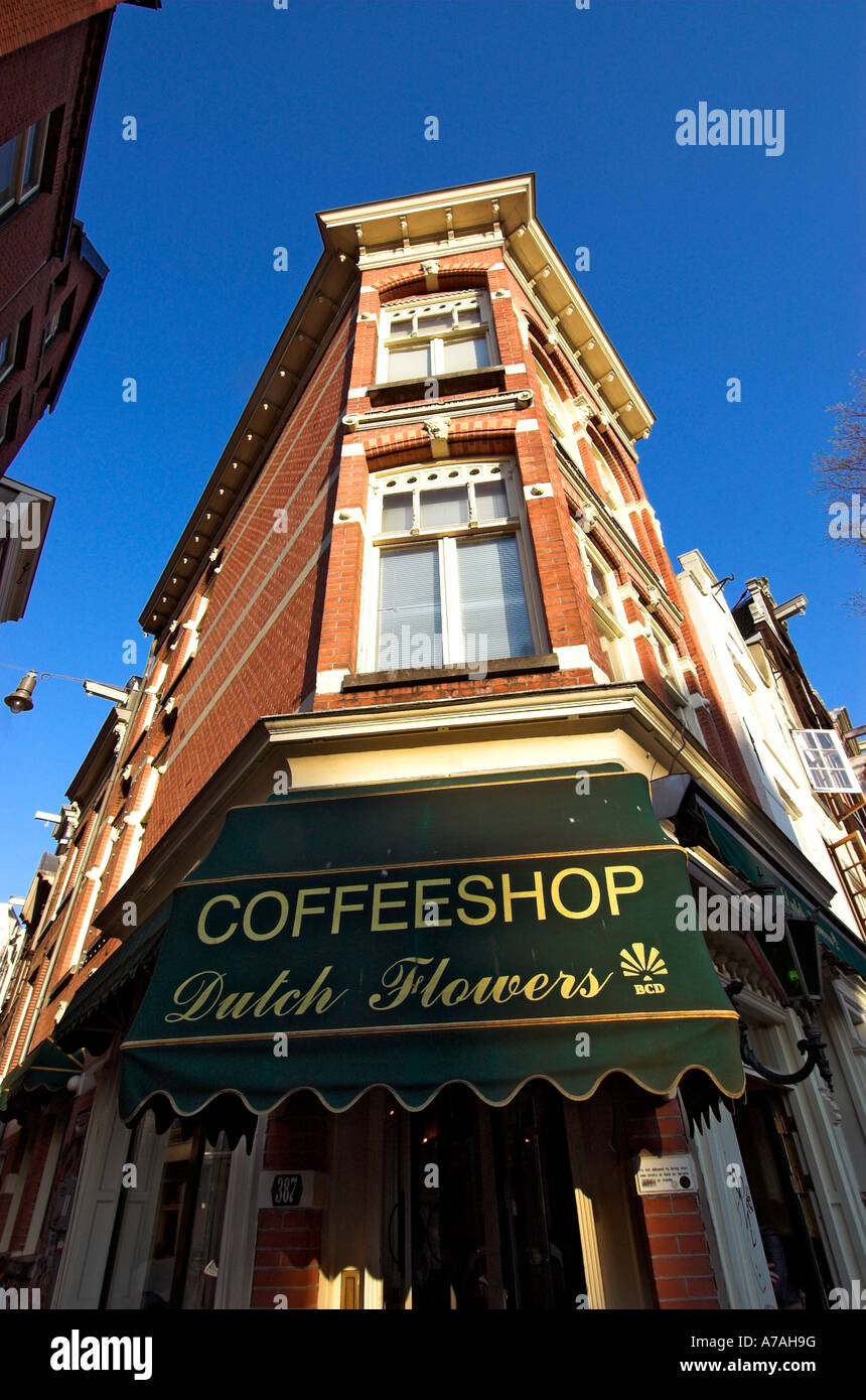 Guardando il coffee shop olandese di fiori in Amsterdam Foto Stock