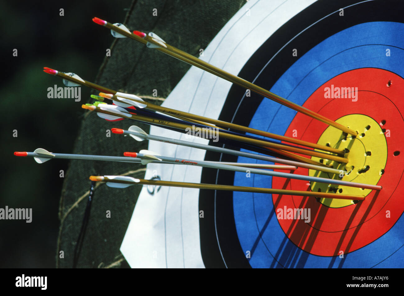 Frecce in o vicino all'occhio di bue del bersaglio durante il tiro con l Arco Olimpico la concorrenza Foto Stock