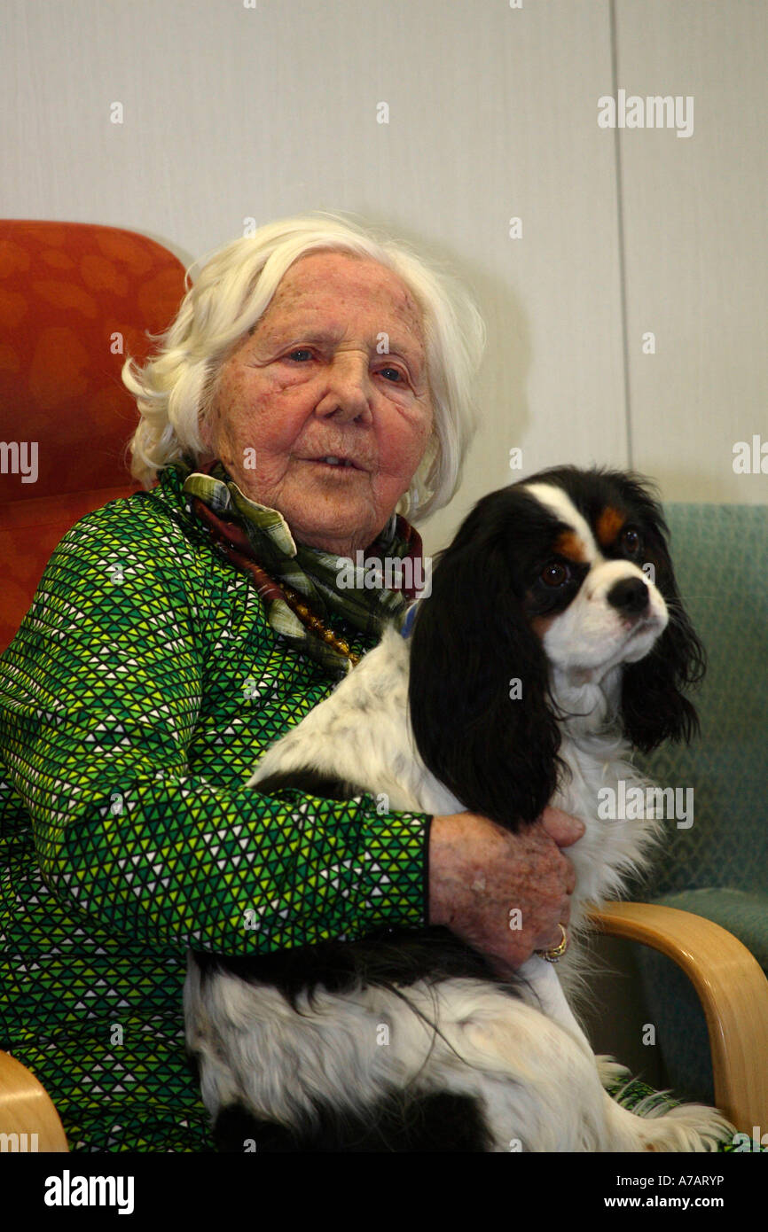 Donna Anziana 100 Anni Con Cavalier King Charles Spaniel Stroking Accarezzando Anziani S Home Foto Stock Alamy