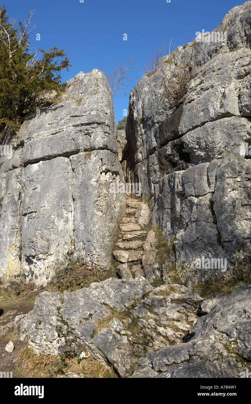 Beetham fata passi in una roccia calcarea Foto Stock