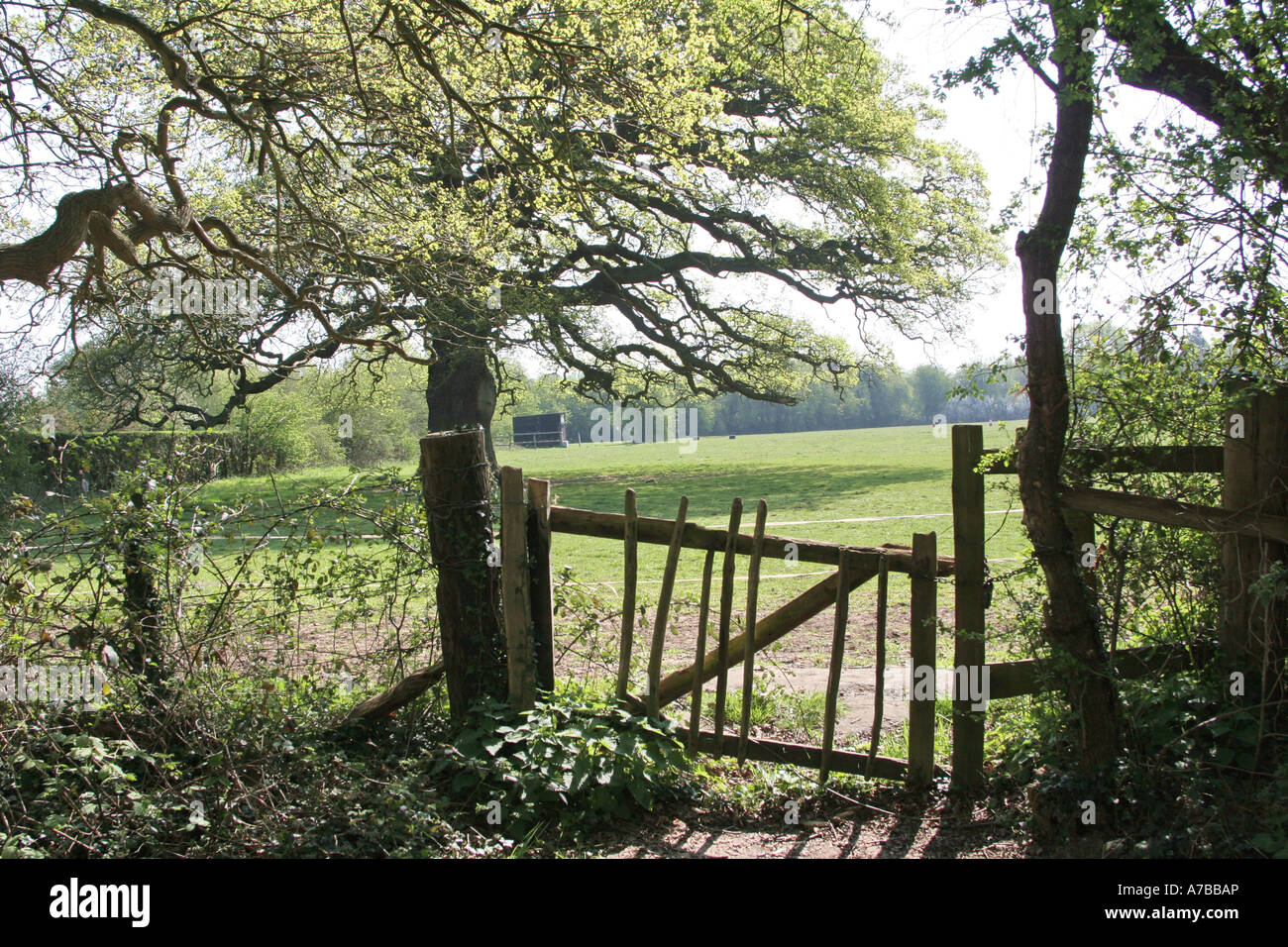 Campagna britannica Foto Stock