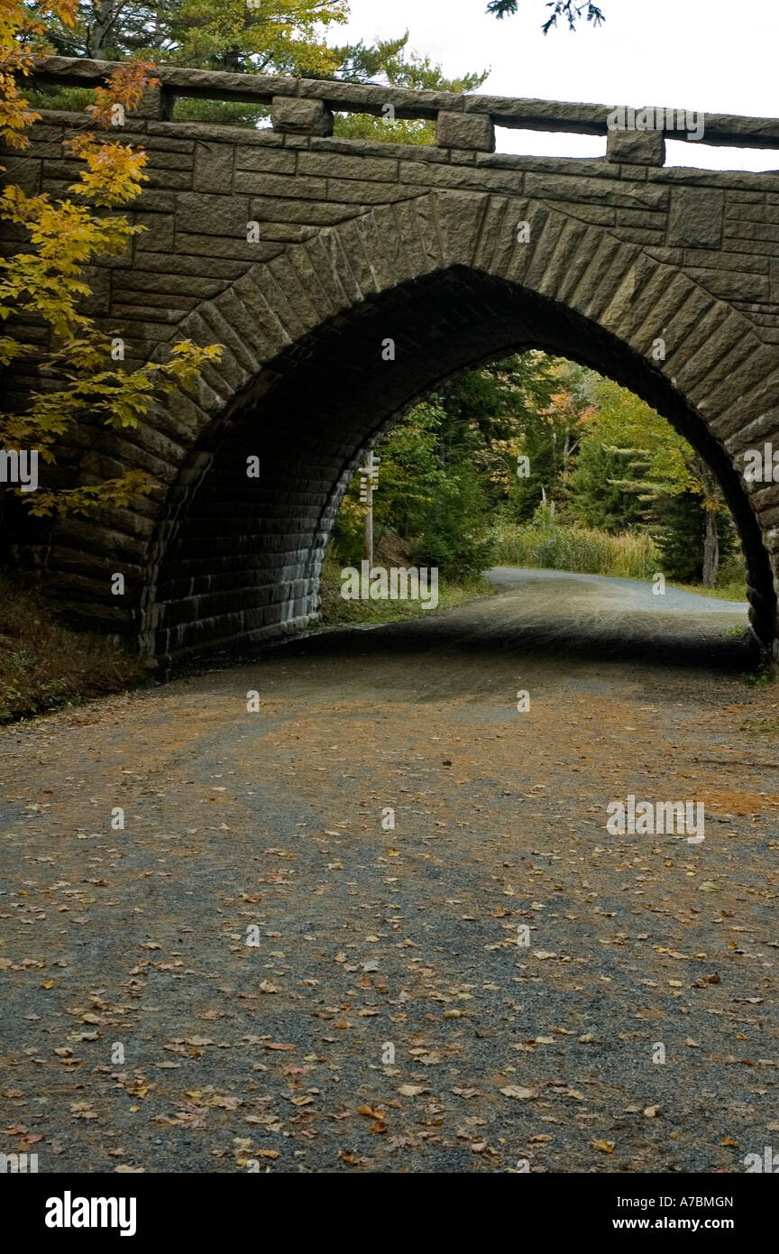 Carro ponte stradale Acadia NP Foto Stock