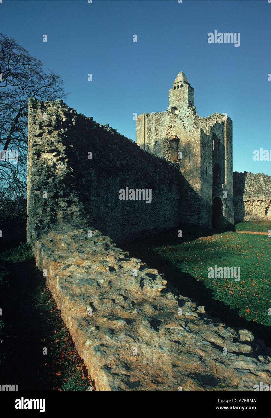 Old Sherborne Castle Dorset Foto Stock