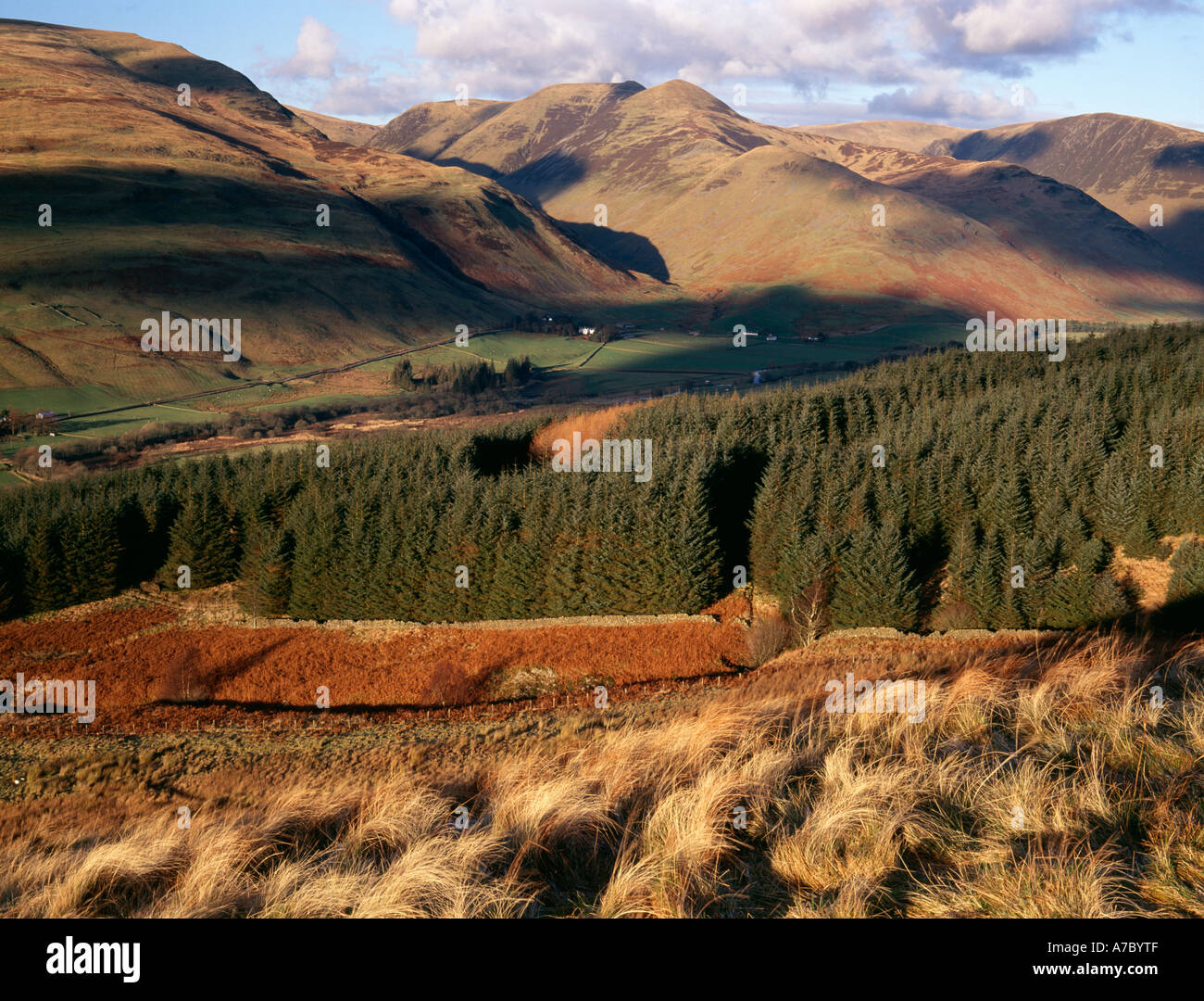 Colline di Moffat Foto Stock