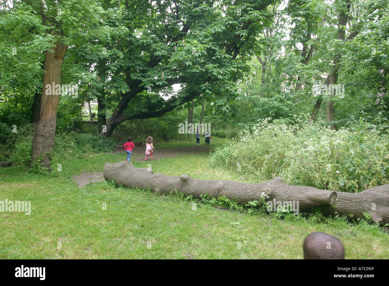 Bambini della scuola materna su una gita nel parco Foto Stock
