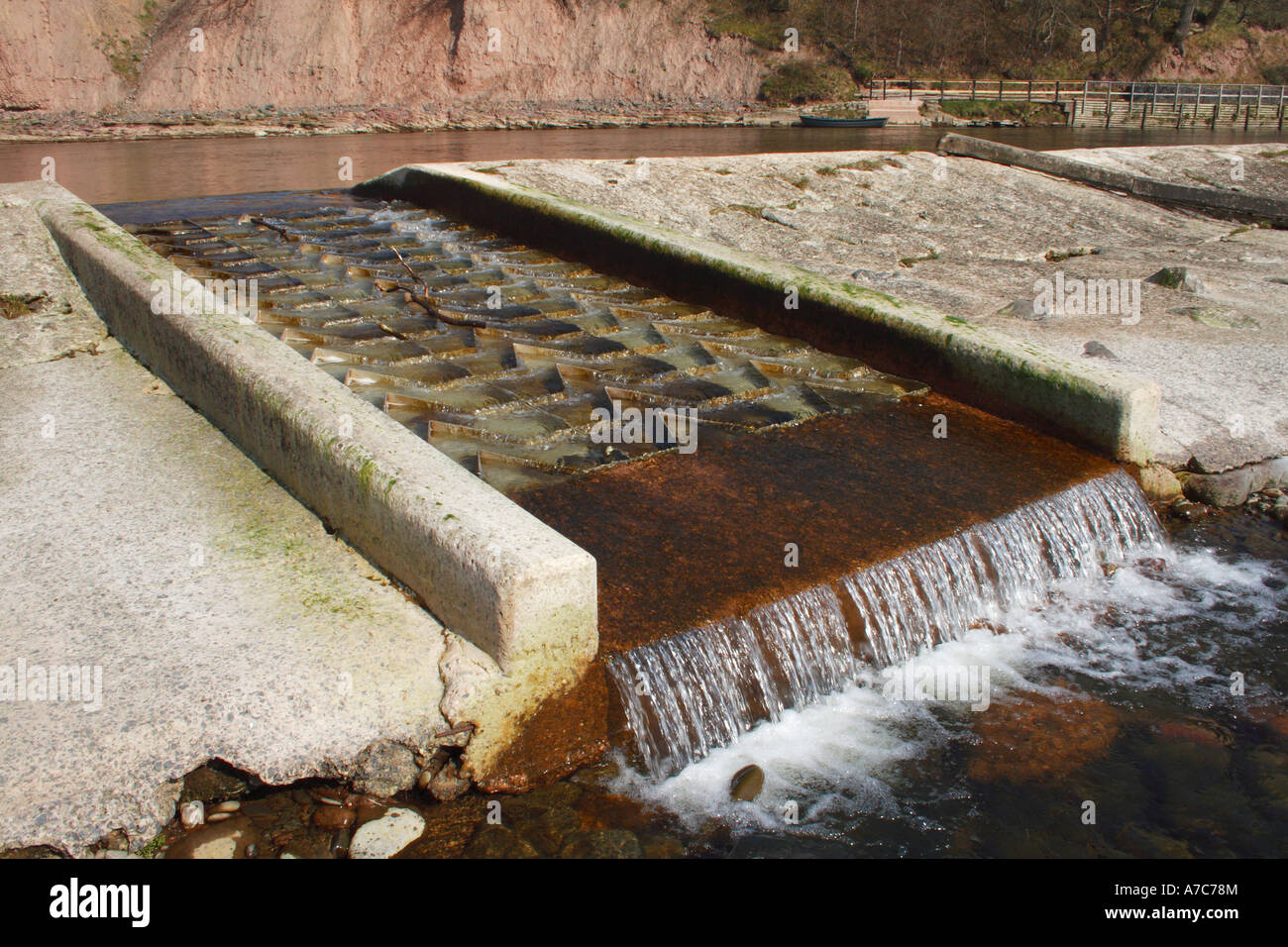 Griglia metallica per aiutare il salmone nuotare a monte sul fiume Tweed in Scottish Borders Foto Stock