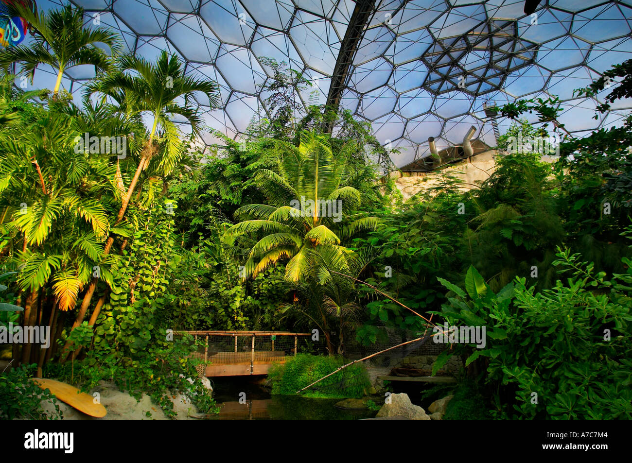 I tropici biome all'Eden Project a Bodelva, vicino a St. Austell in Cornovaglia, UK. Foto Stock