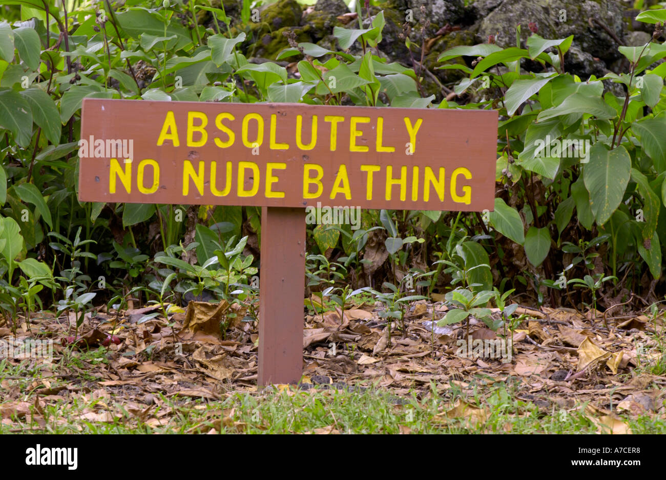 No nudo di balneazione segno nel Parco delle Hawaii Foto Stock