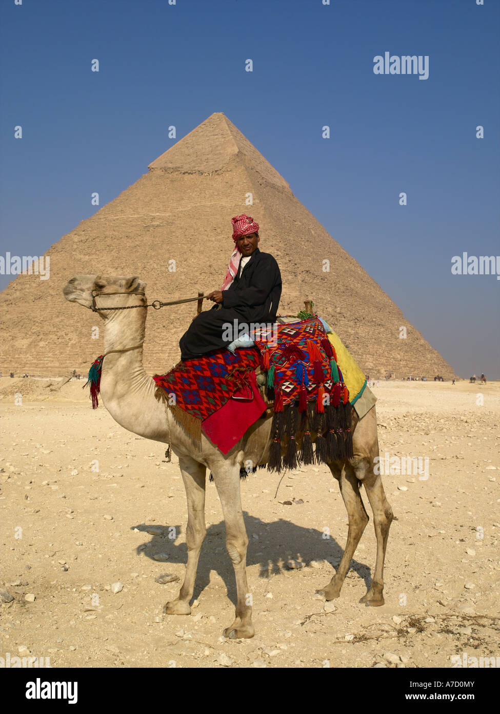 Giza, Cairo Camel Rider Foto Stock