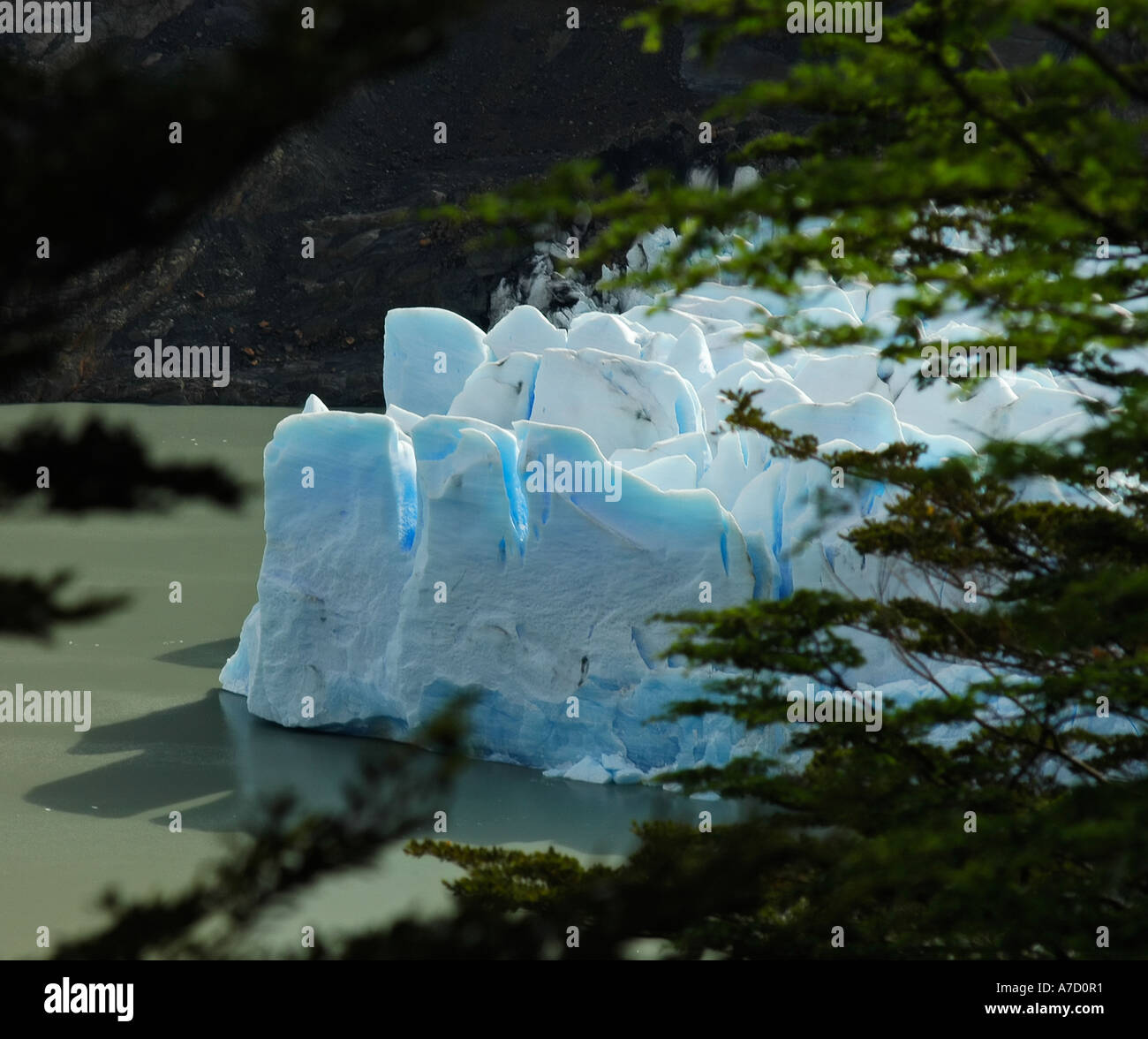 Glaciar grigio, Parco Nazionale Torres del Paine, Patagonia, Cile Foto Stock
