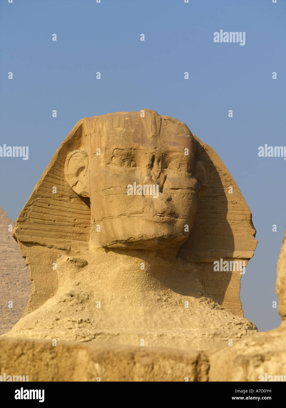 Il Cairo, Giza Sphinx Foto Stock